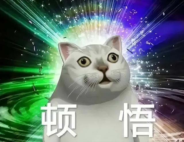 最科学的体测方法与身体成分解析”ky开元棋牌“精准掌握身体密码：(图7)